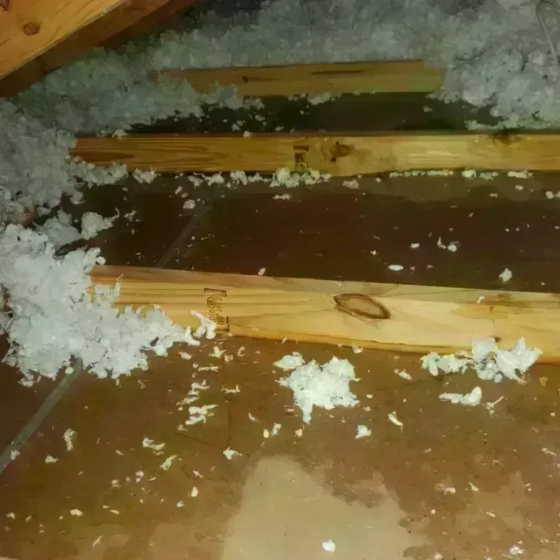 Attic Water Damage in Yankton County, SD