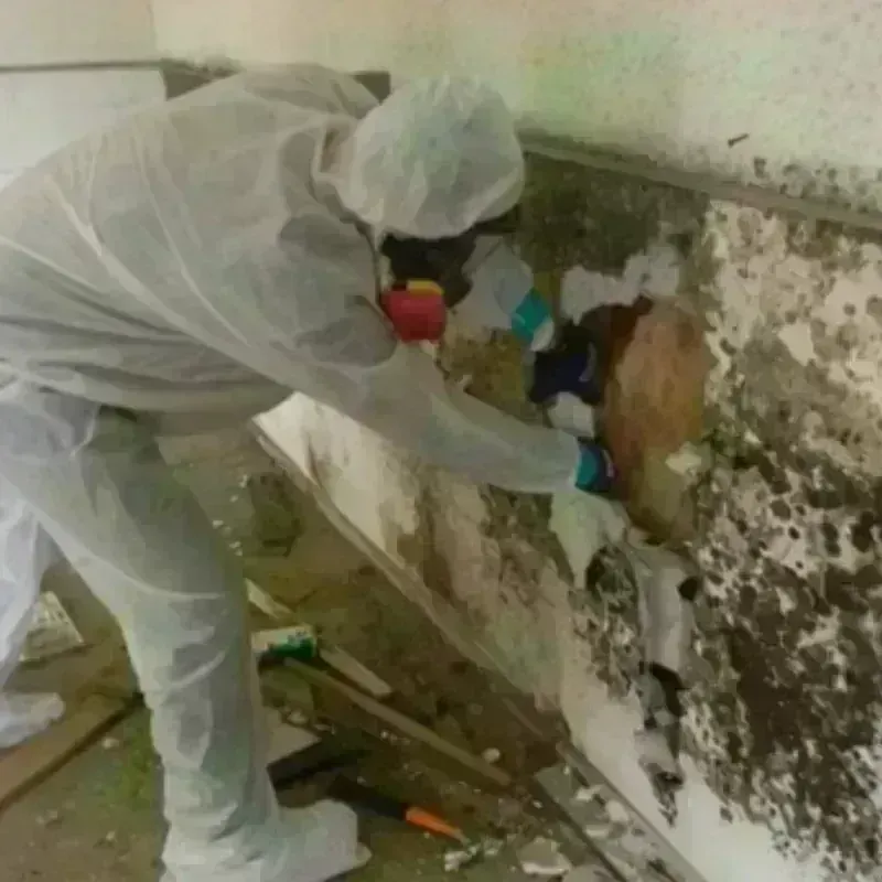 Mold Remediation and Removal in Yankton County, SD