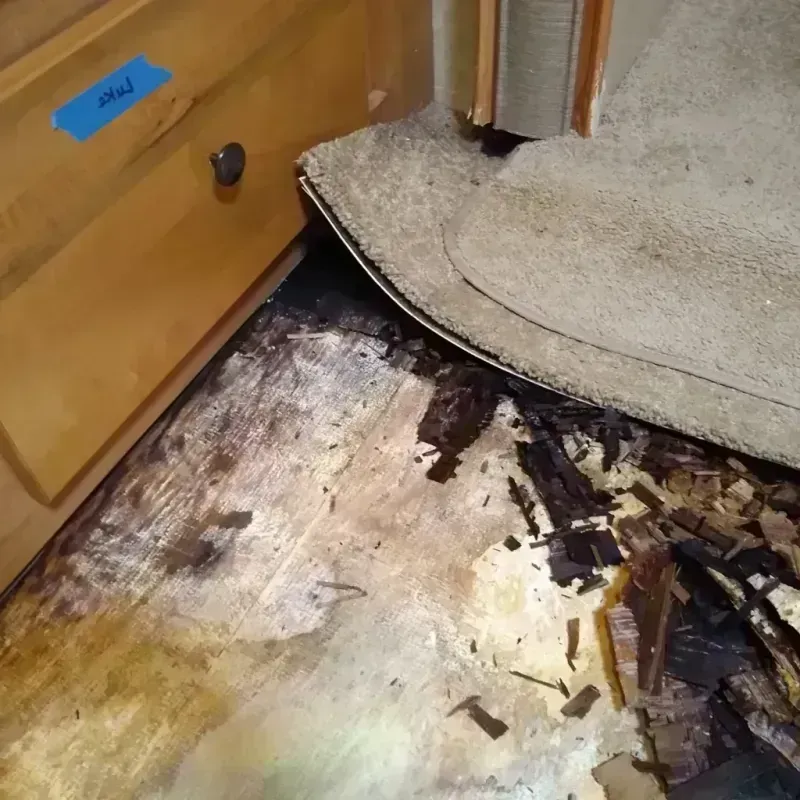 Best Wood Floor Water Damage Service in Yankton County, SD